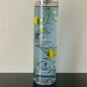 Bath and Body Works Fragrance Mist